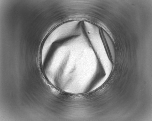 X0000074290994200609222304