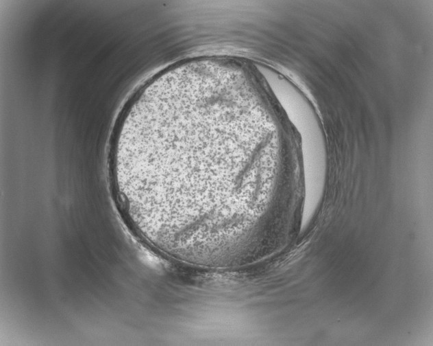 X0000074290995200609222304