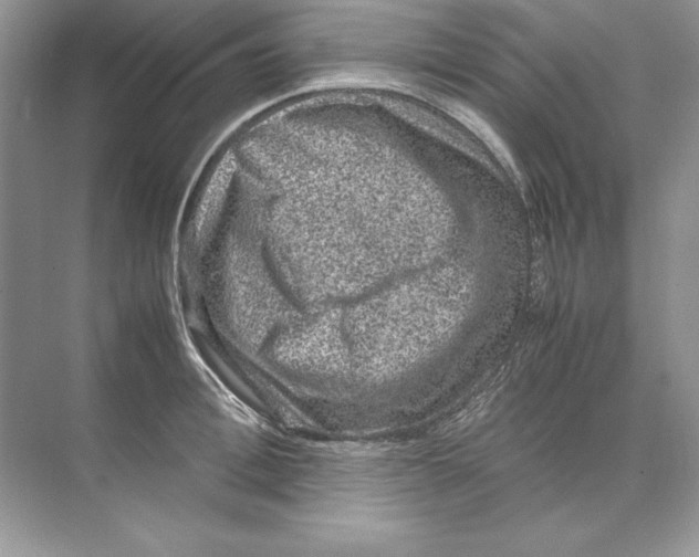 X0000074290996200609222304