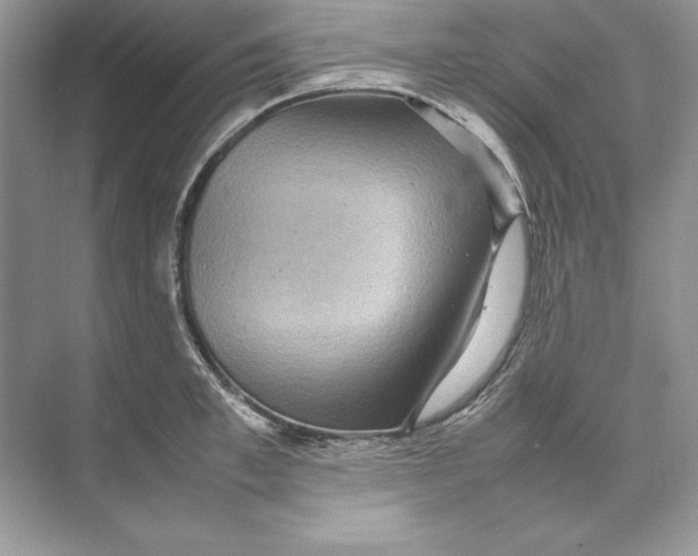 X0000074290997200609222304