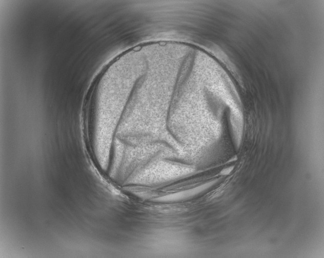 X0000074290998200609222304