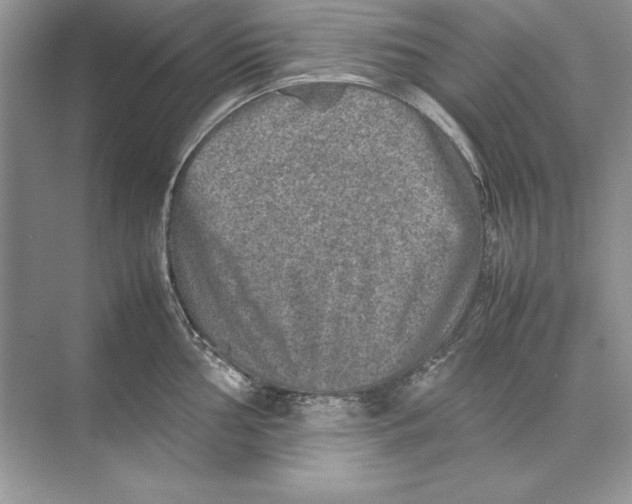 X0000074291002200609222304