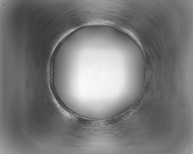 X0000074291003200609222304