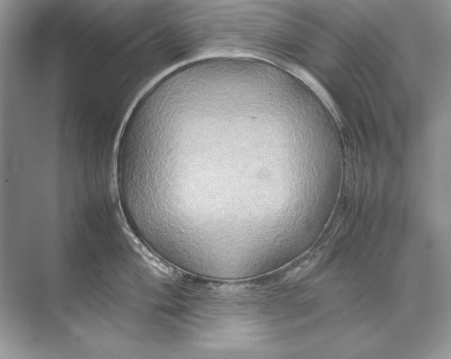 X0000074291004200609222304