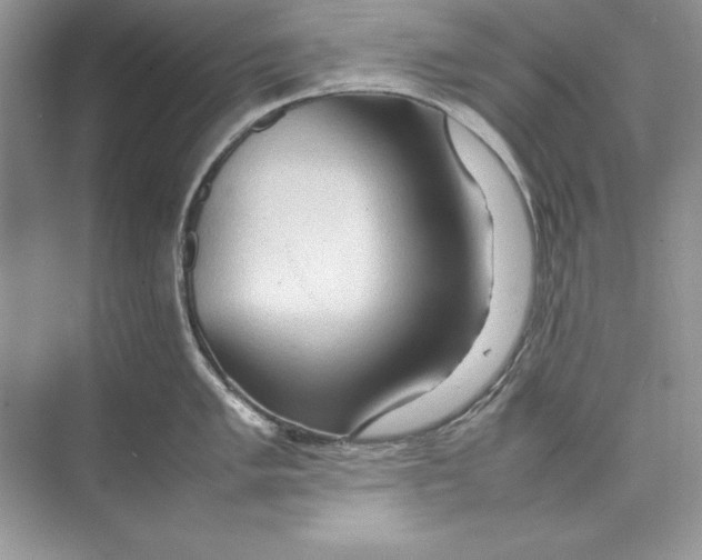 X0000074291005200609222304