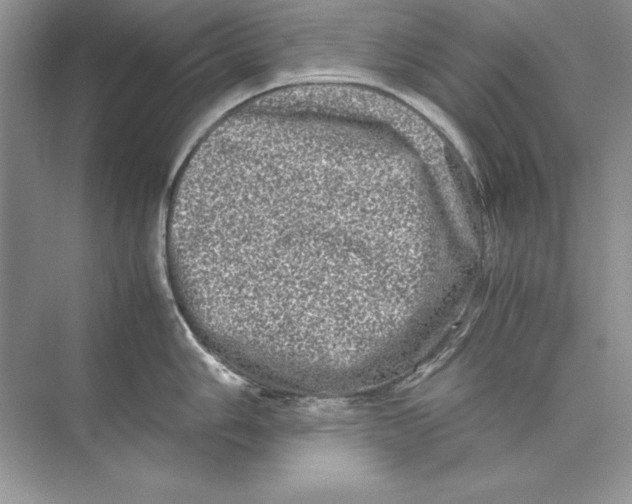 X0000074291006200609222304