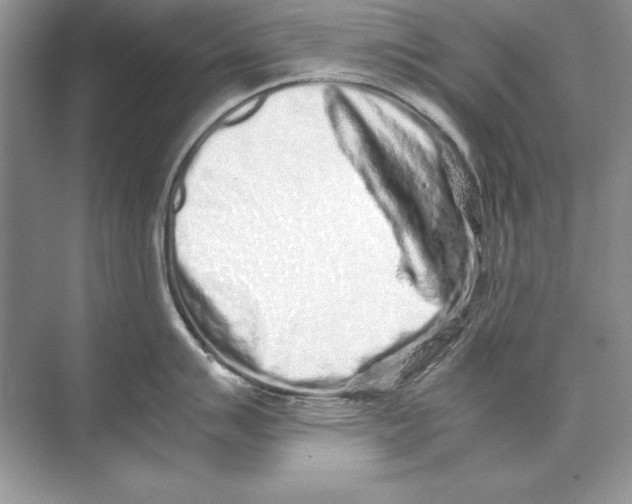 X0000074291007200609222304