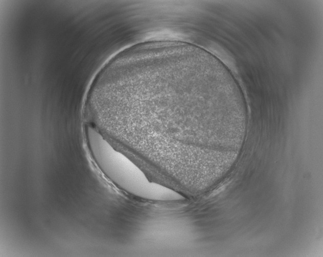 X0000074291008200609222304