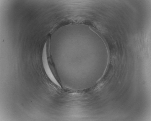 X0000074291010200609222303