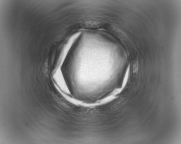 X0000074291011200609222303