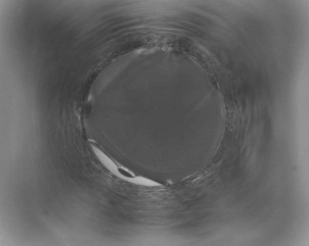 X0000074291013200609222303