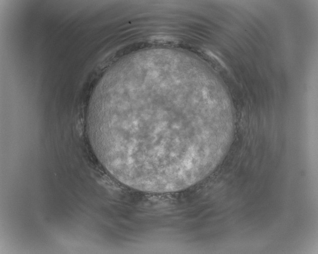 X0000074291015200609222303