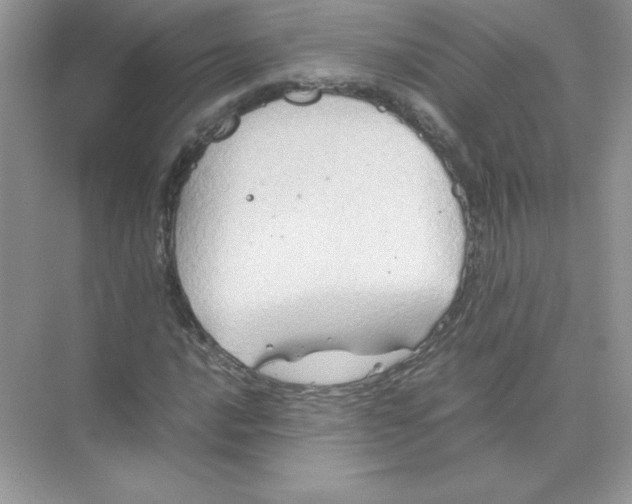 X0000074291016200609222303