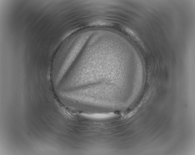 X0000074291017200609222303