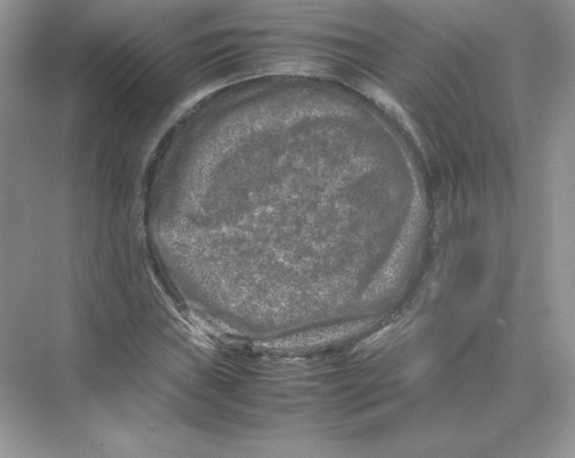 X0000074291019200609222303