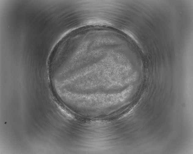 X0000074291022200609222303