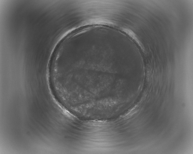 X0000074291024200609222303