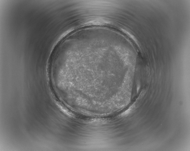 X0000074291026200609222303