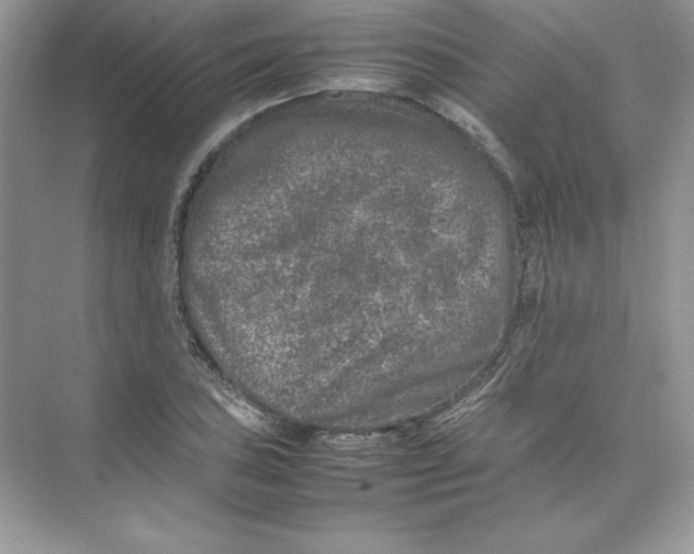 X0000074291027200609222304