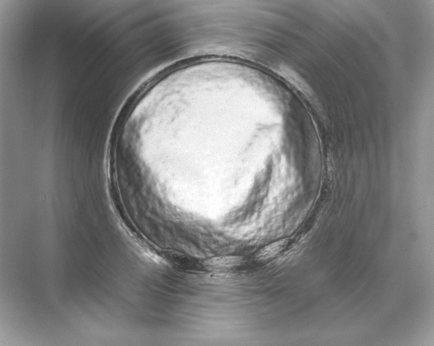 X0000074291028200609222304