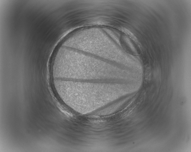 X0000074291031200609222304