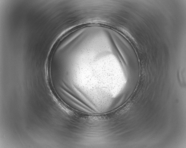 X0000074291032200609222304