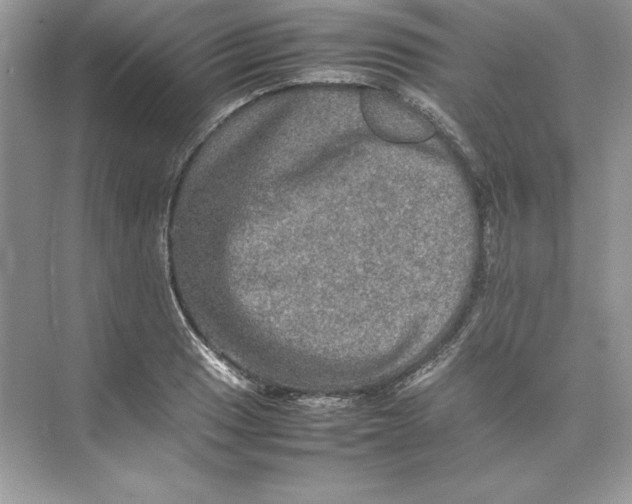 X0000074291033200609222304