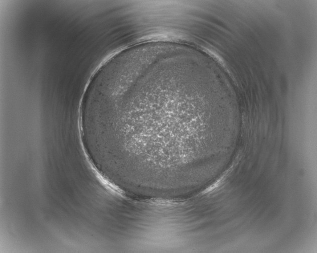 X0000074291034200609222304