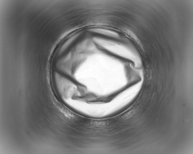 X0000074291035200609222304