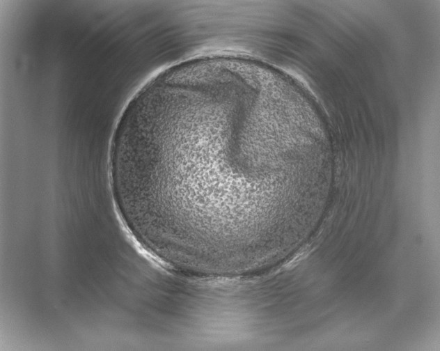 X0000074291038200609222304