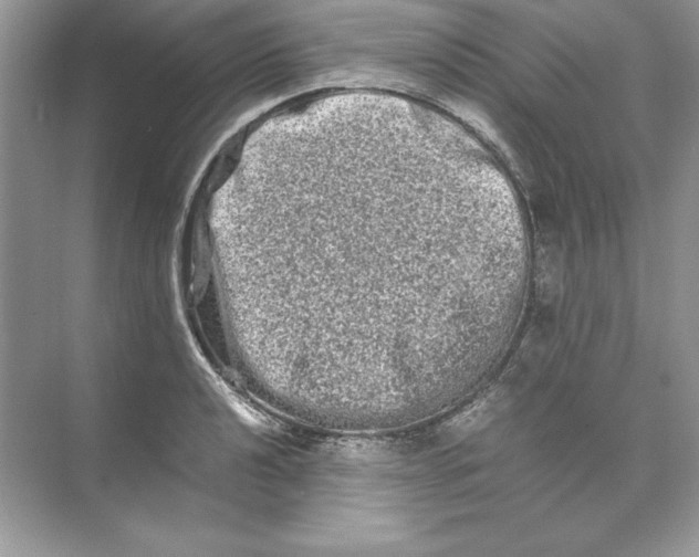 X0000074291040200609222304