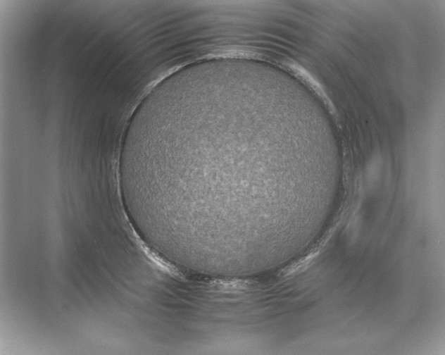 X0000074291041200609222304