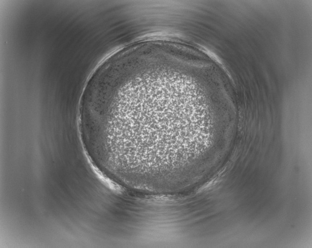 X0000074291042200609222304