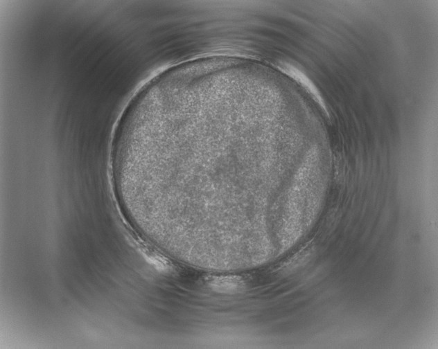 X0000074291043200609222304