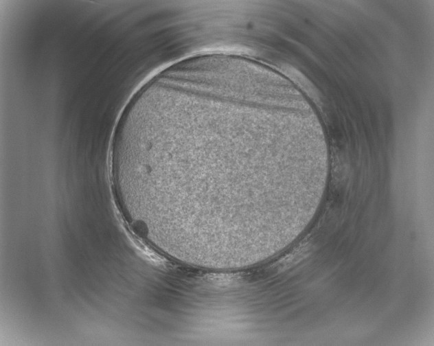 X0000074291044200609222304