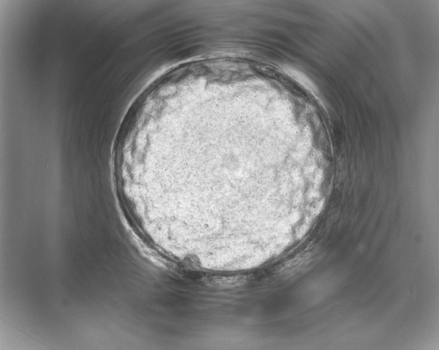 X0000074291047200609222304