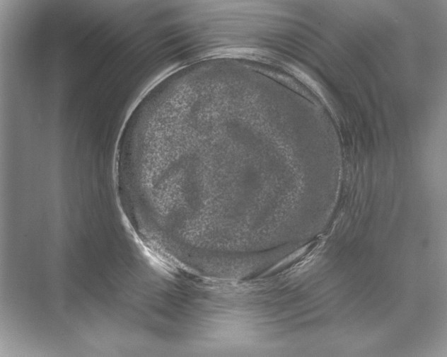 X0000074291050200609222304