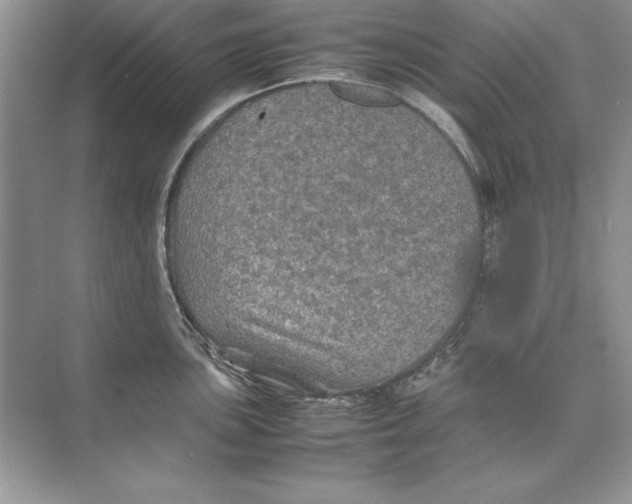 X0000074291051200609222304