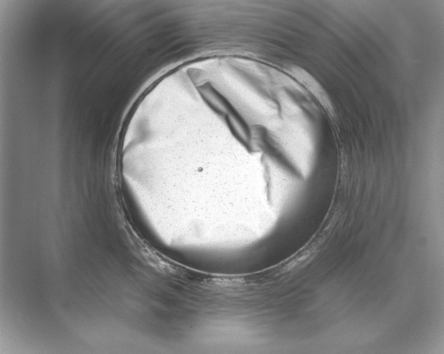 X0000074291052200609222304