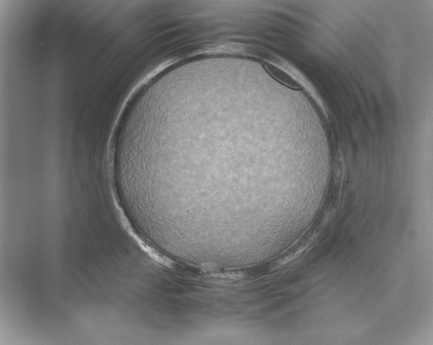 X0000074291053200609222304