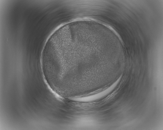 X0000074291054200609222304