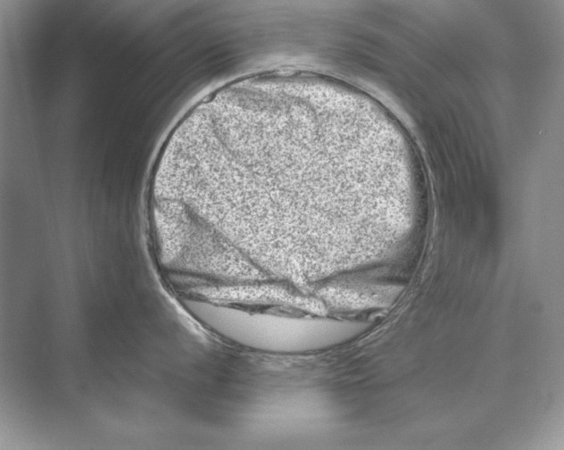 X0000074291056200609222304