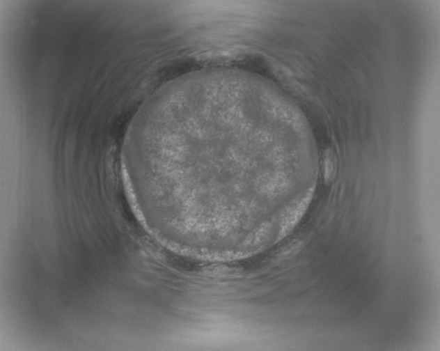 X0000074291059200609222303