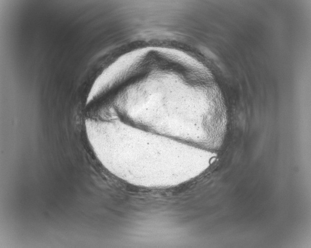 X0000074291063200609222303