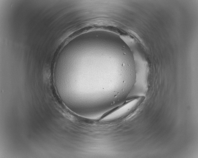 X0000074291065200609222303