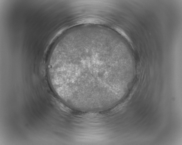 X0000074291067200609222303