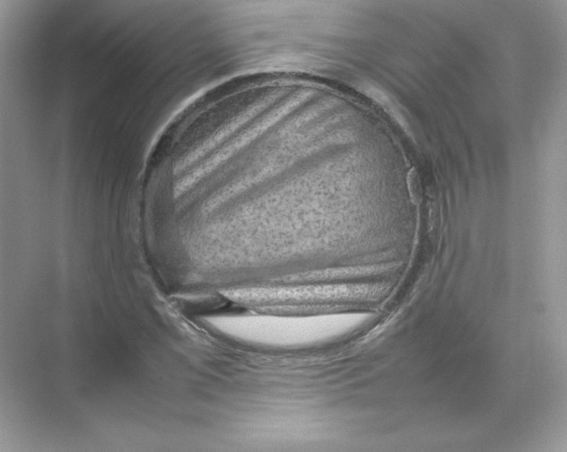 X0000074291069200609222303