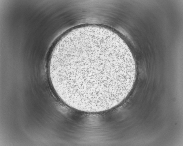 X0000074291070200609222303