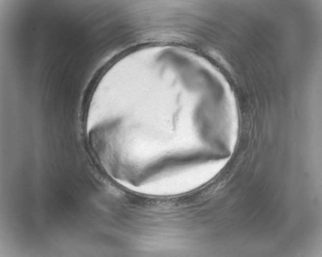 X0000074291071200609222303