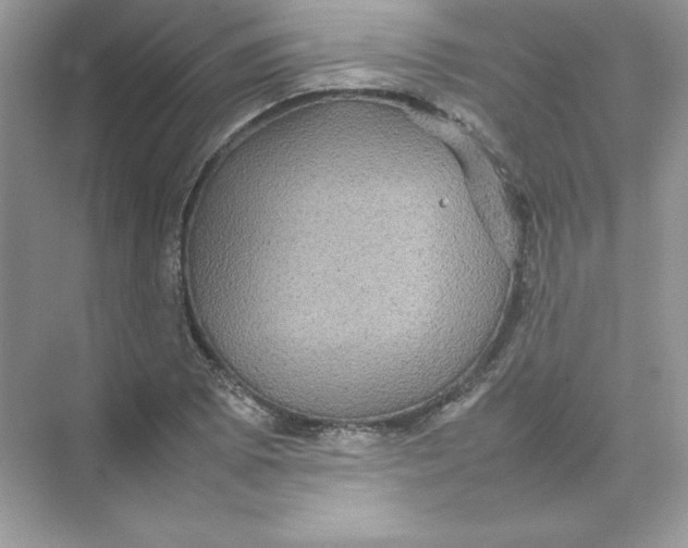 X0000074291073200609222303